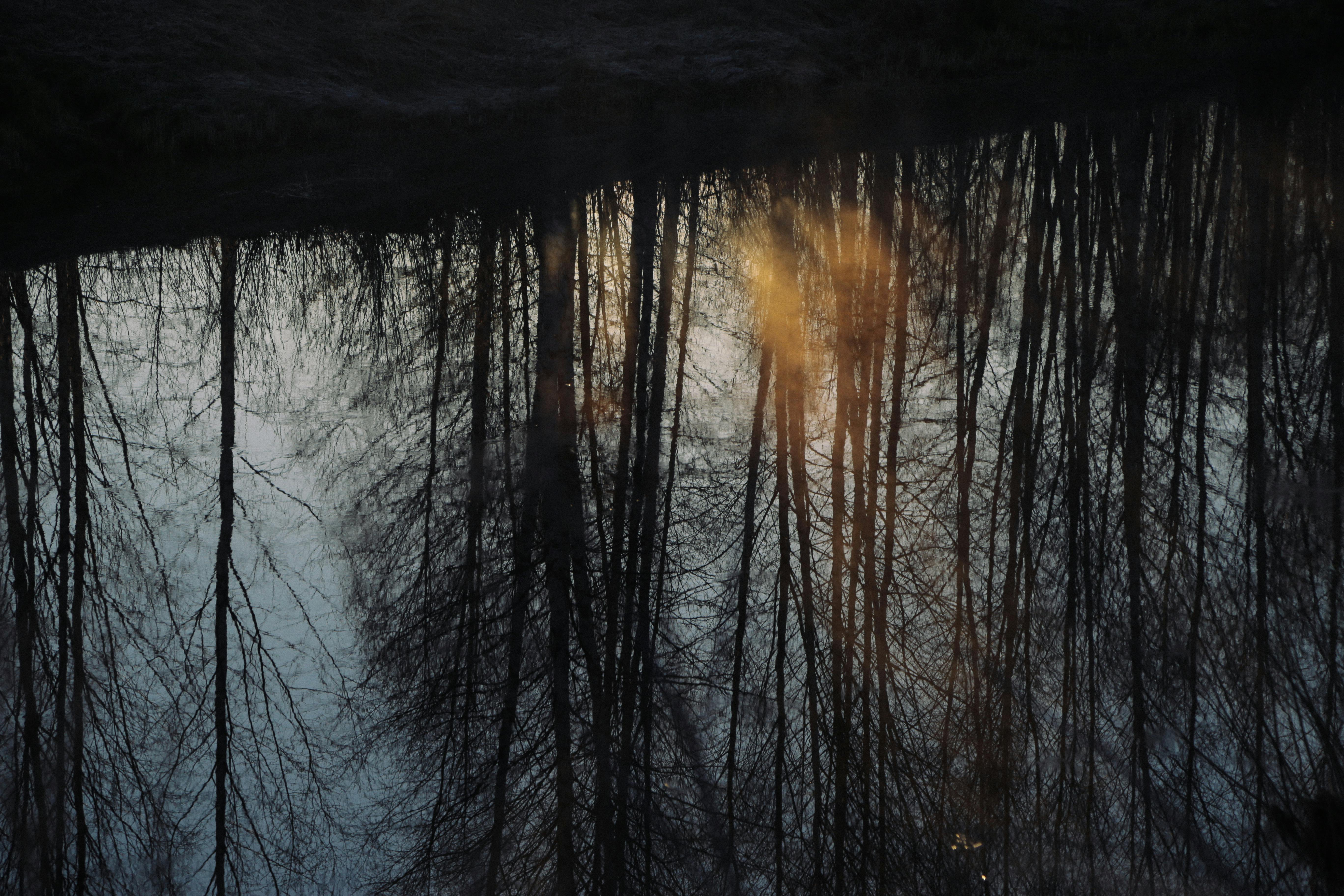 100+ Best Humid Photos · 100 Free Download · Pexels Stock Photos