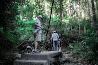 一家人沿着郁郁葱葱的森林小径徒步冒险，一起探索大自然