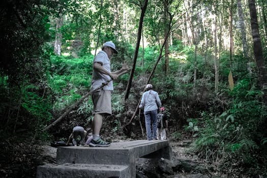 一家人沿着郁郁葱葱的森林小径徒步冒险，一起探索大自然