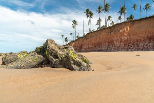 Scenic tropical beach in Prado, Brazil with palm trees, rocks, and sandy shore
