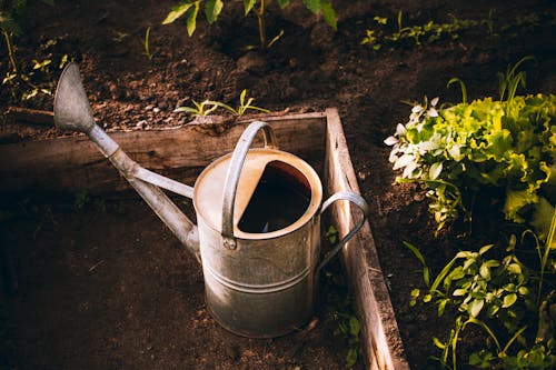 Free Gray Steel Watering Can beside Brown Wooden Fence Stock Photo