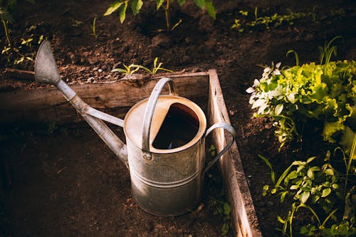 Gray Steel Watering Can beside Brown Wooden Fence