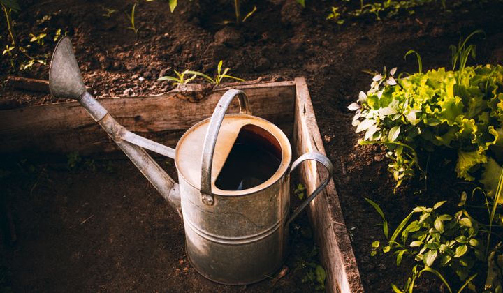 Tuingereedschap en aarde — Hoveniersbedrijf Bladstil, hovenier in Apeldoorn