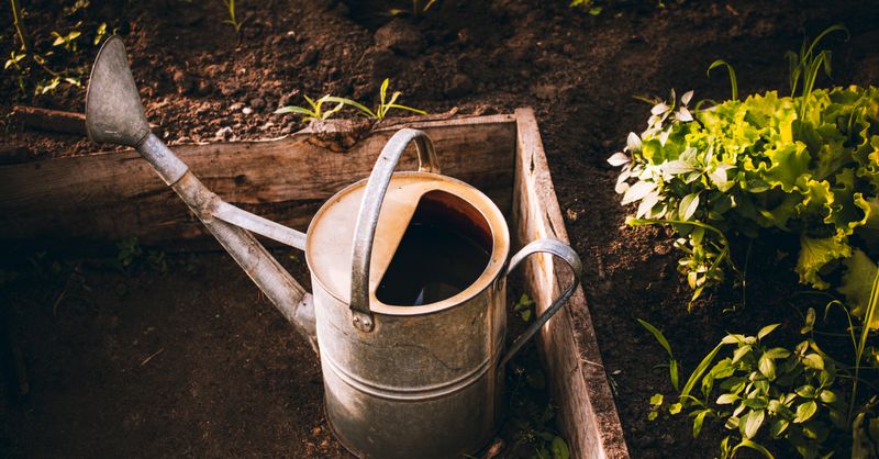 Restrictions d’eau : a-t-on le droit d’arroser son jardin le 15 août 2026 ?