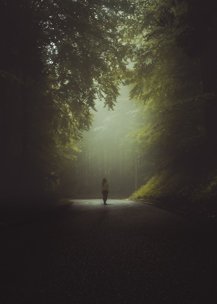 A Person Walking On The Road Surrounded By Tree