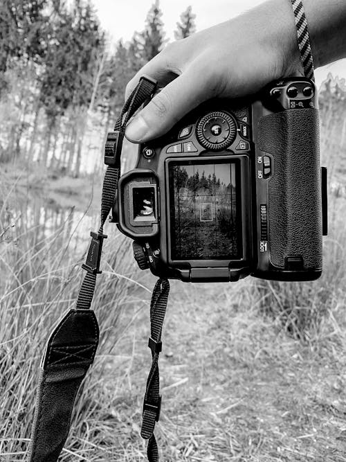Black and white of crop anonymous person using modern photo camera for taking photos of forest