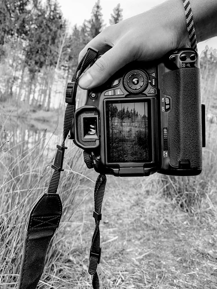 Person Taking Photos Of Nature With Photo Camera