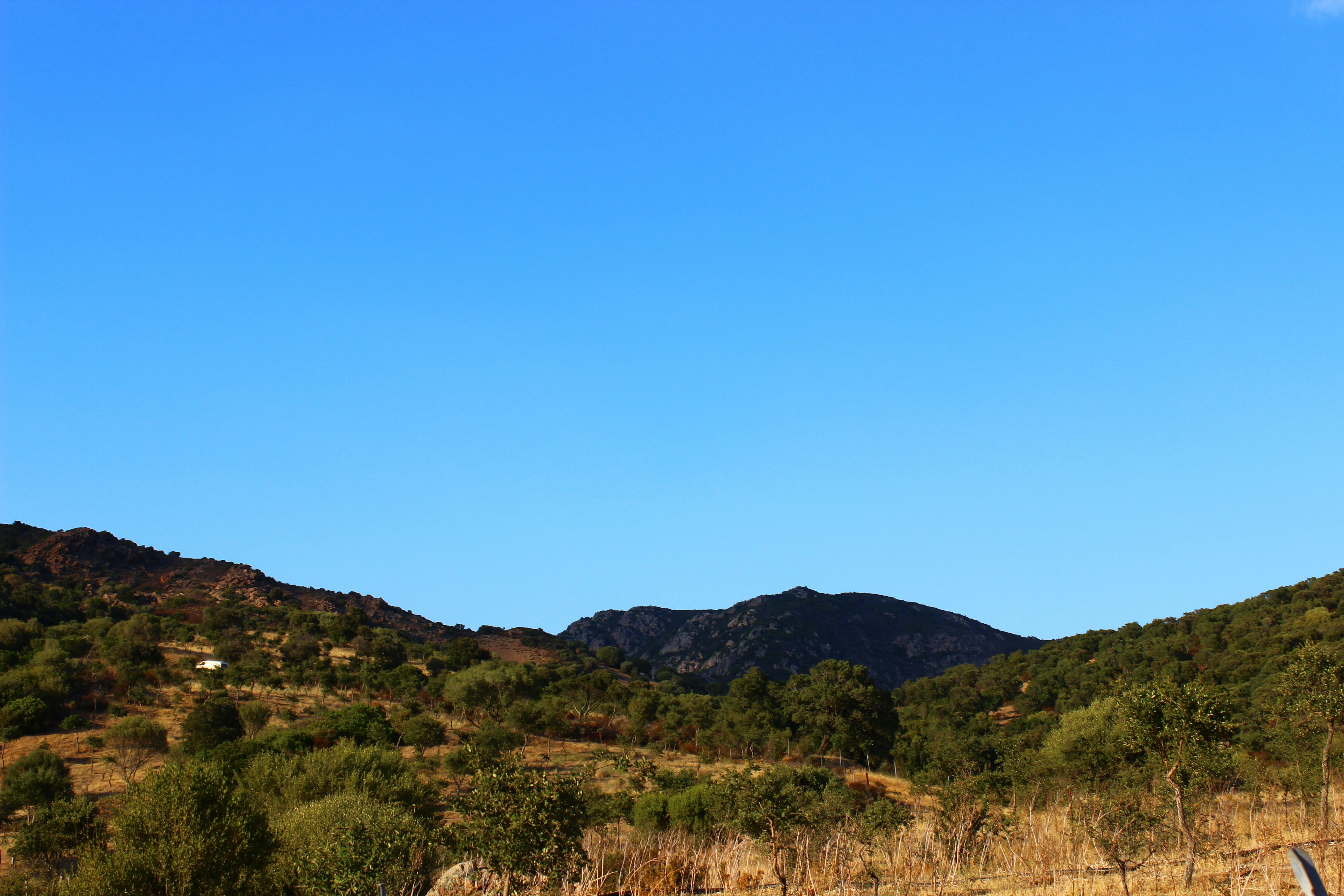 아웃백 스테이크 이미지