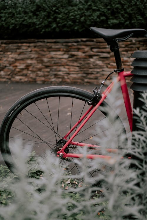 Fotobanka s bezplatnými fotkami na tému bicykel, drôtený výplet kolesa, koleso