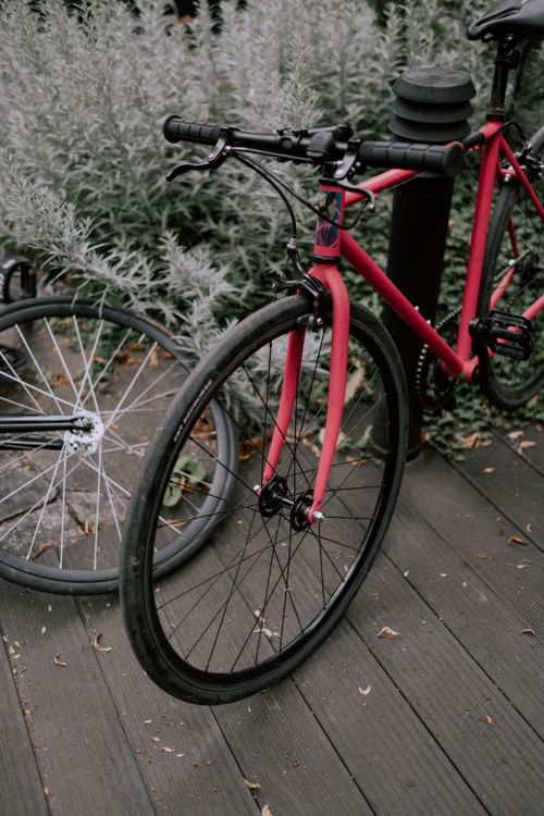 Free A red bicycle gracefully parked on a wooden deck amidst lush greenery, showcasing outdoor serenity. Stock Photo