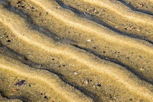 Foto d'estoc gratuïta de mar, platja, sorra