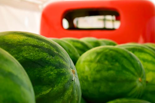 Foto profissional grátis de alimento, caminhão, chácara