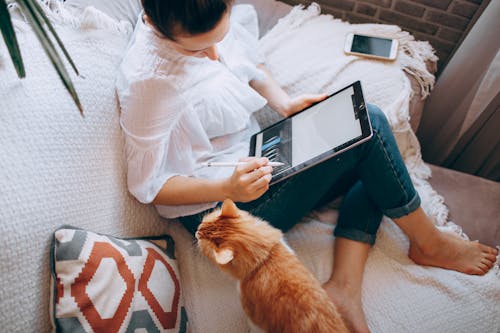 From above of crop unrecognizable young female freelancer sitting on sofa and working on graphics tablet near adorable curious cat at home