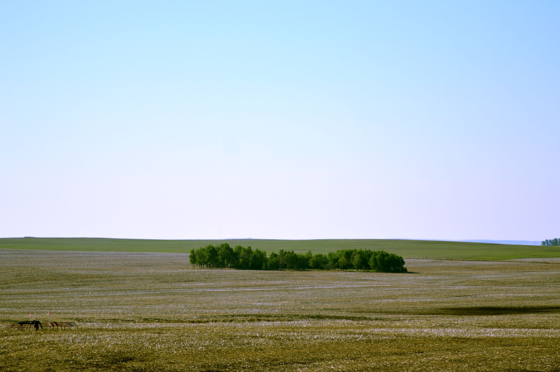Alberta eyaletinde geniş bir ova manzarası