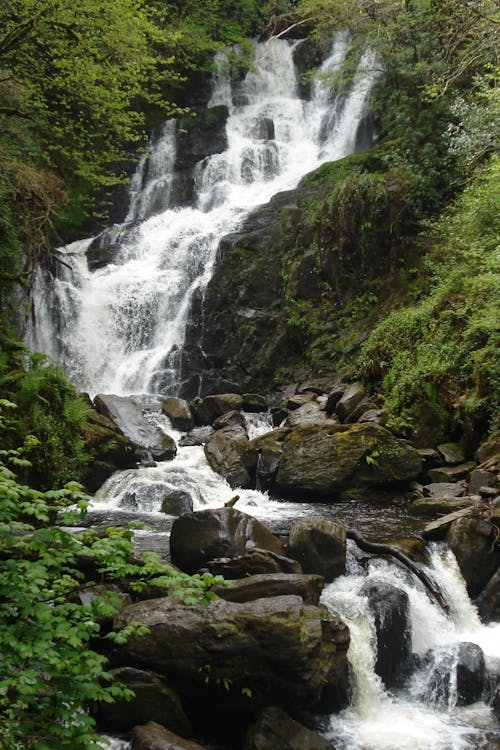 Foto stok gratis air mengalir, air terjun, alam