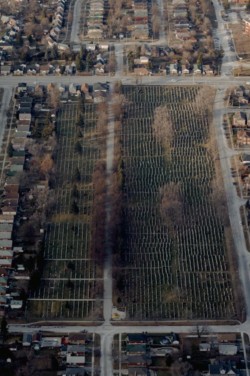 Aerial view of houses along trees in park and straight asphalt roads located in countryside