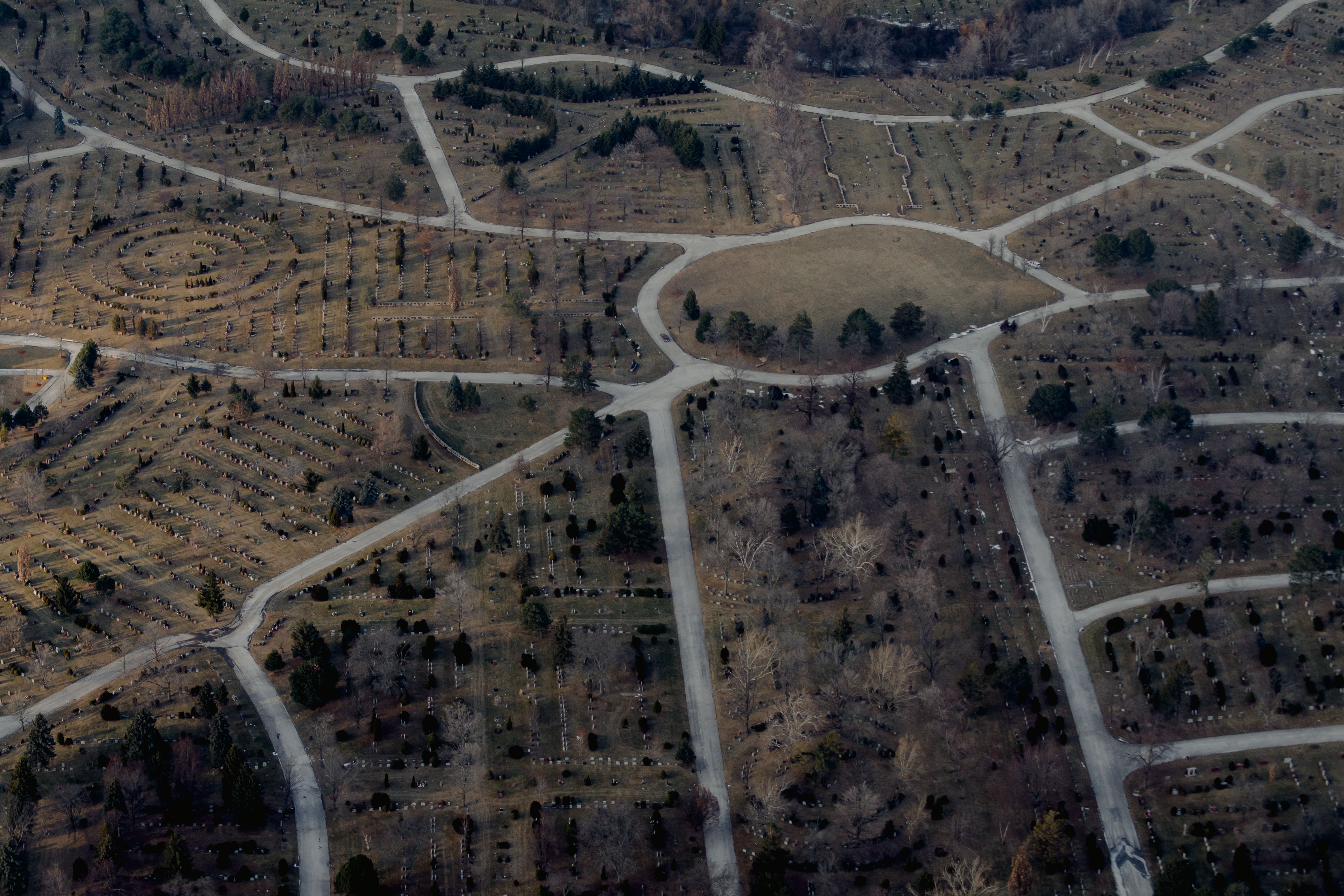 Drone view of narrow footpaths going through trees and dry grass in countryside