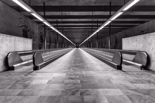Gratis Fotos de stock gratuitas de blanco y negro, escala de grises, estación de metro Foto de stock