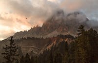 日落时分，雾霭与松林环绕着风景优美的山景，尽显荒野之美