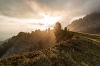 在雾气缭绕、树木丛生的山区，日出景象令人叹为观止，营造出宁静祥和的氛围