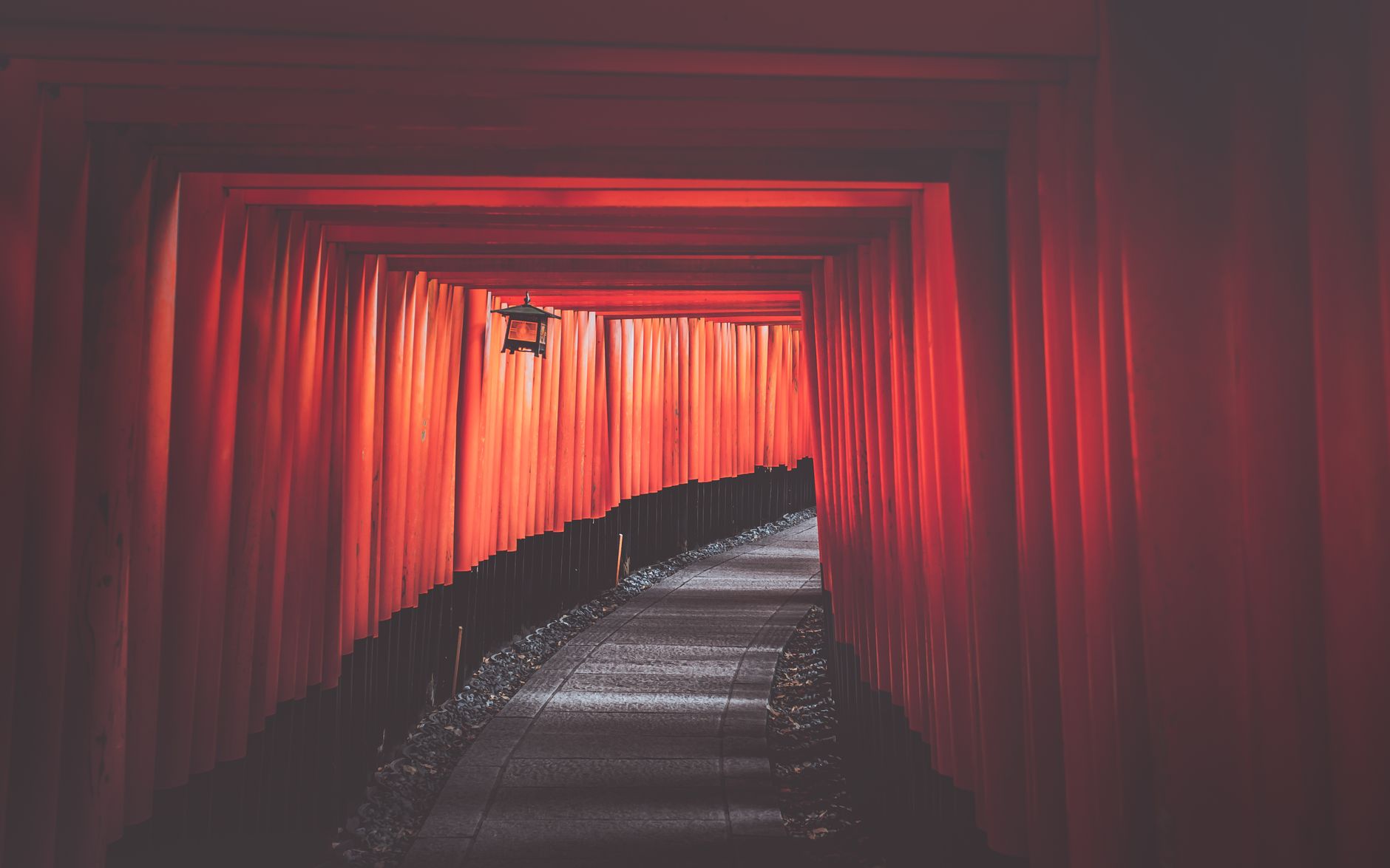 Jelajahi Keajaiban Fushimi Inari Kyoto: Ribuan Gerbang Merah di Negeri Sakura
