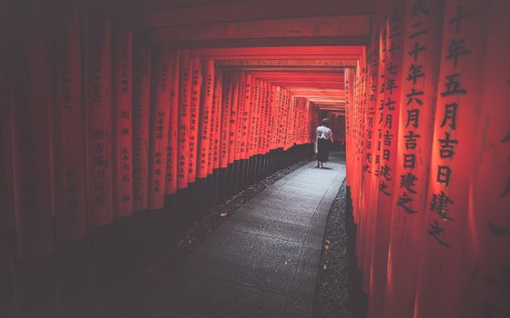 A Woman Walking on Paved Walk Path