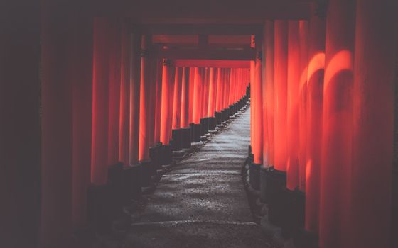 Explore the mesmerizing Senbon Torii at Fushimi Inari Shrine in Kyoto, Japan.