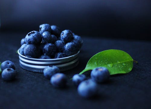 Free Studio Shot with a Close-up of Blueberries Stock Photo