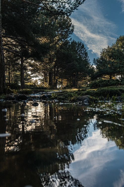 Free Peaceful lake in a forest with tree reflections on water under a cloudy sky. Stock Photo