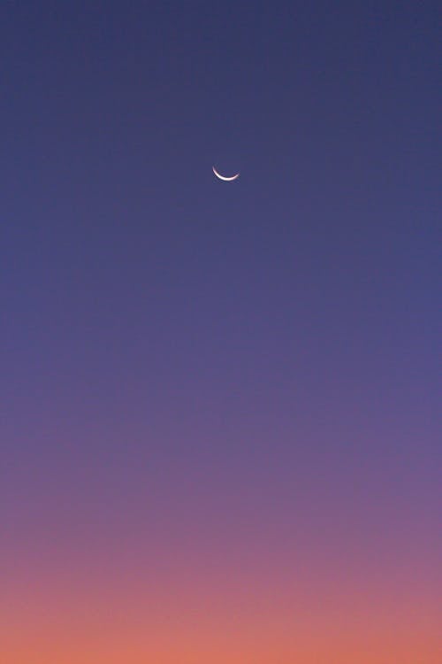 Free Crescent Moon on Evening Sky Stock Photo