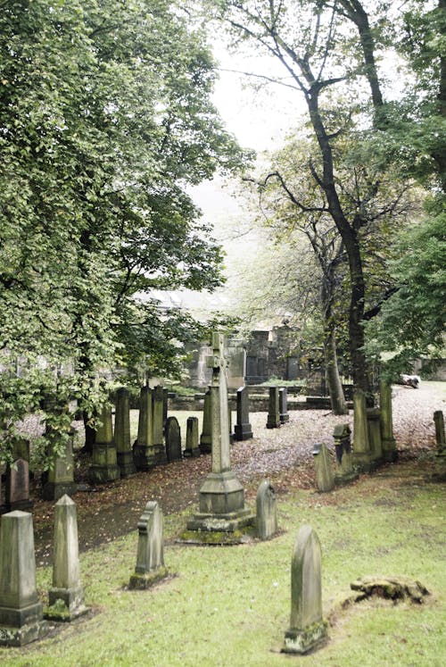Gratis Immagine gratuita di alberi, cimitero, lapide Foto a disposizione