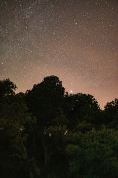 阿尔及利亚郁郁葱葱的森林上空，星空景色壮丽