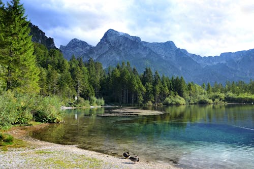 Ảnh lưu trữ miễn phí về Áo, bờ hồ, cảnh núi non