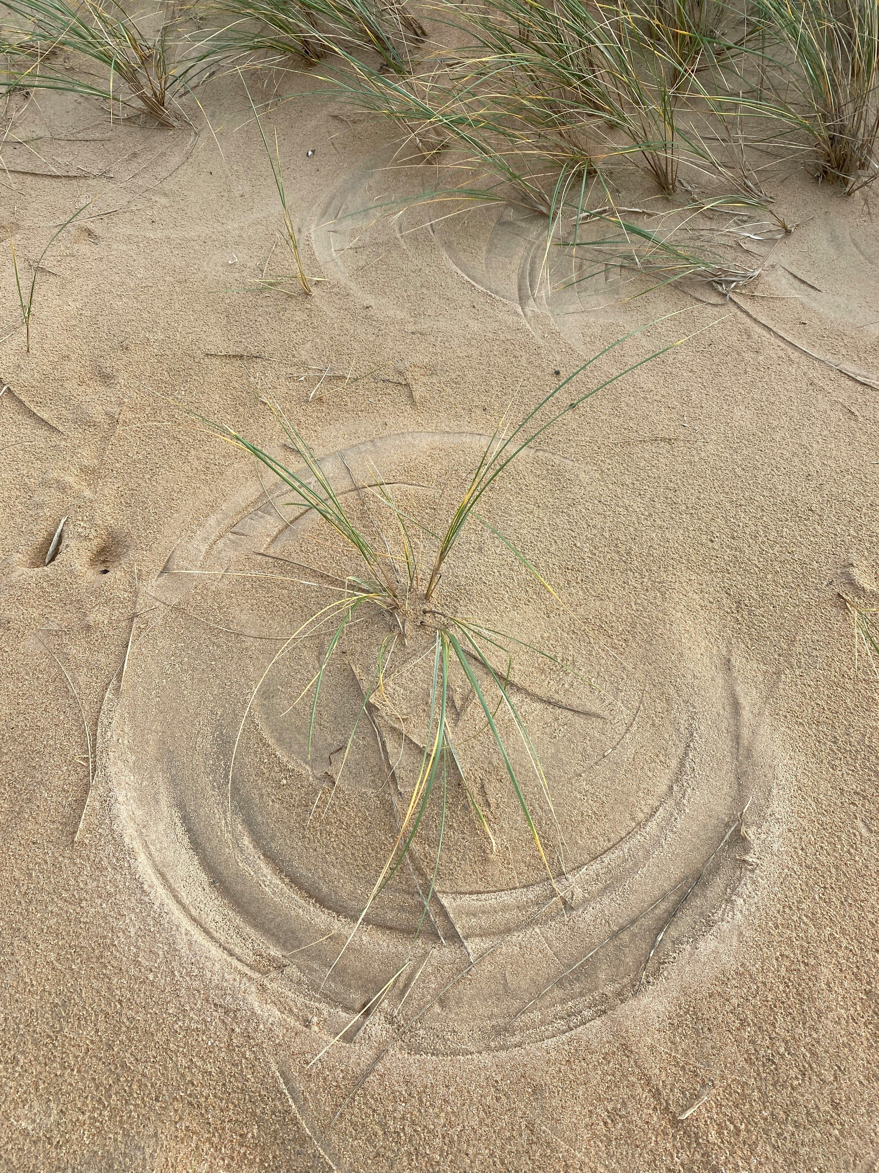 Minimal beauty flat lay