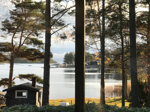 Foto stok gratis alam, danau, di luar rumah