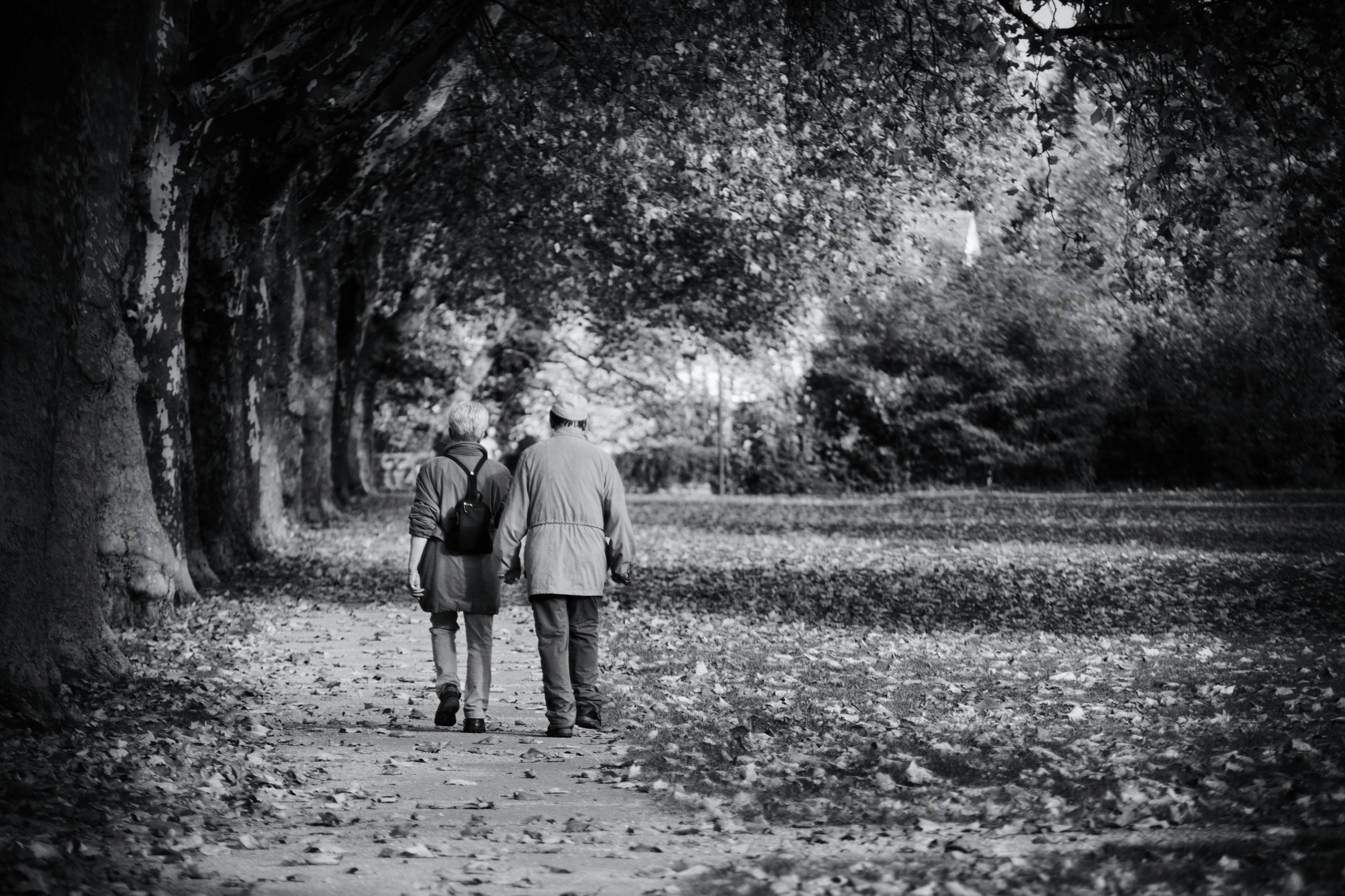 A senior couple strolls through a park covered in fallen leaves in black and white.