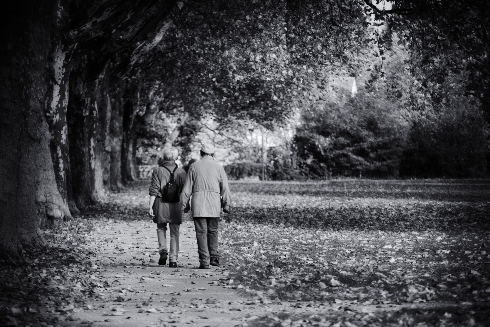 A senior couple strolls through a park covered in fallen leaves in black and white.