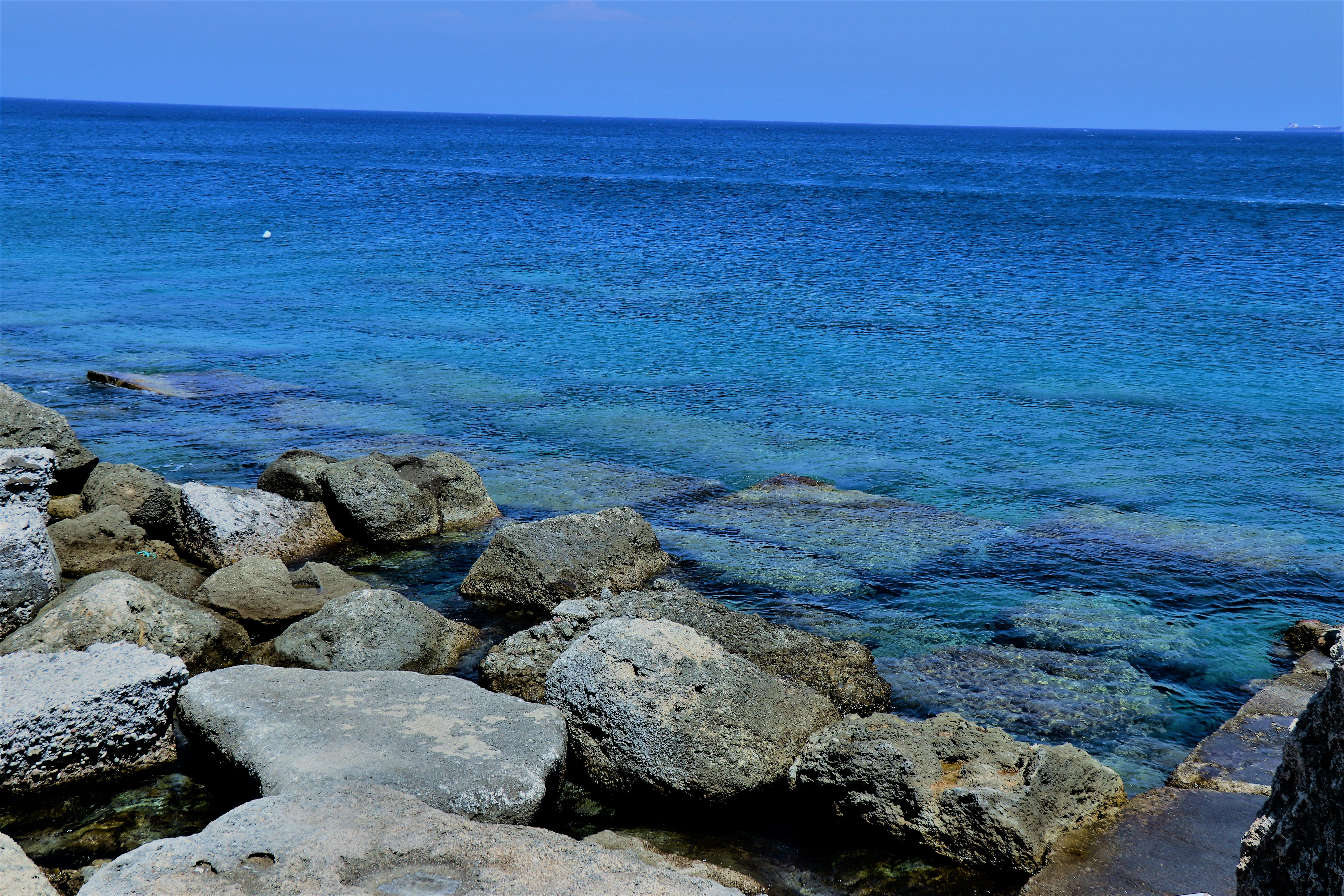 🧱 Geçirgen Bağırsak (Leaky Gut): Bağışıklık Sisteminizin "Sınır Kapısı" İhlal Edilirse Ne Olur?