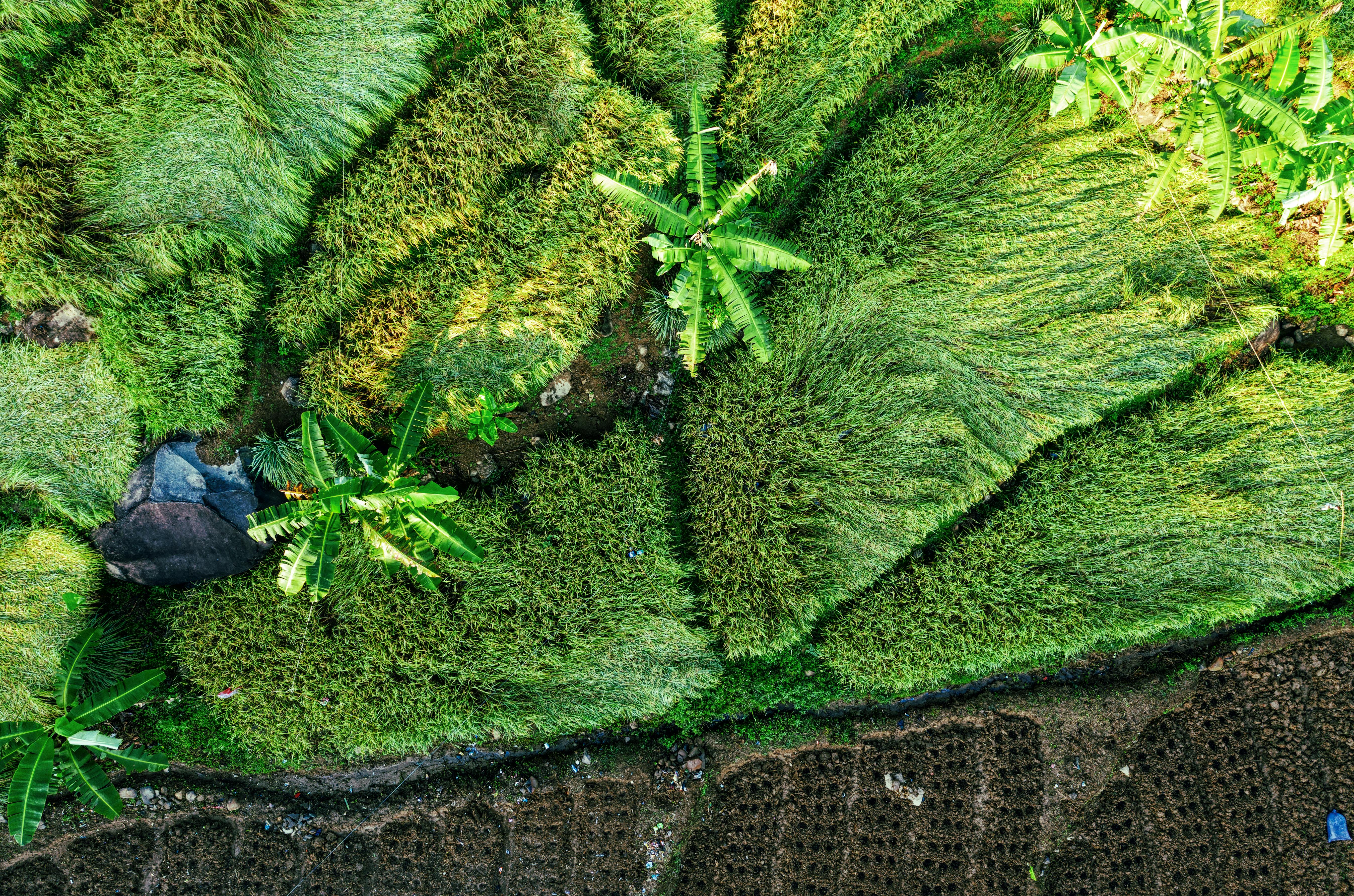 Nature-Based Solutions: How restoring ecosystems can fight climate change and protect communities — Photo by Tom Fisk on Pexe