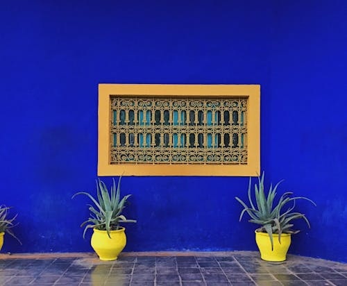 Ingyenes stockfotó építészeti terv, majorelle kert, marrakesh témában