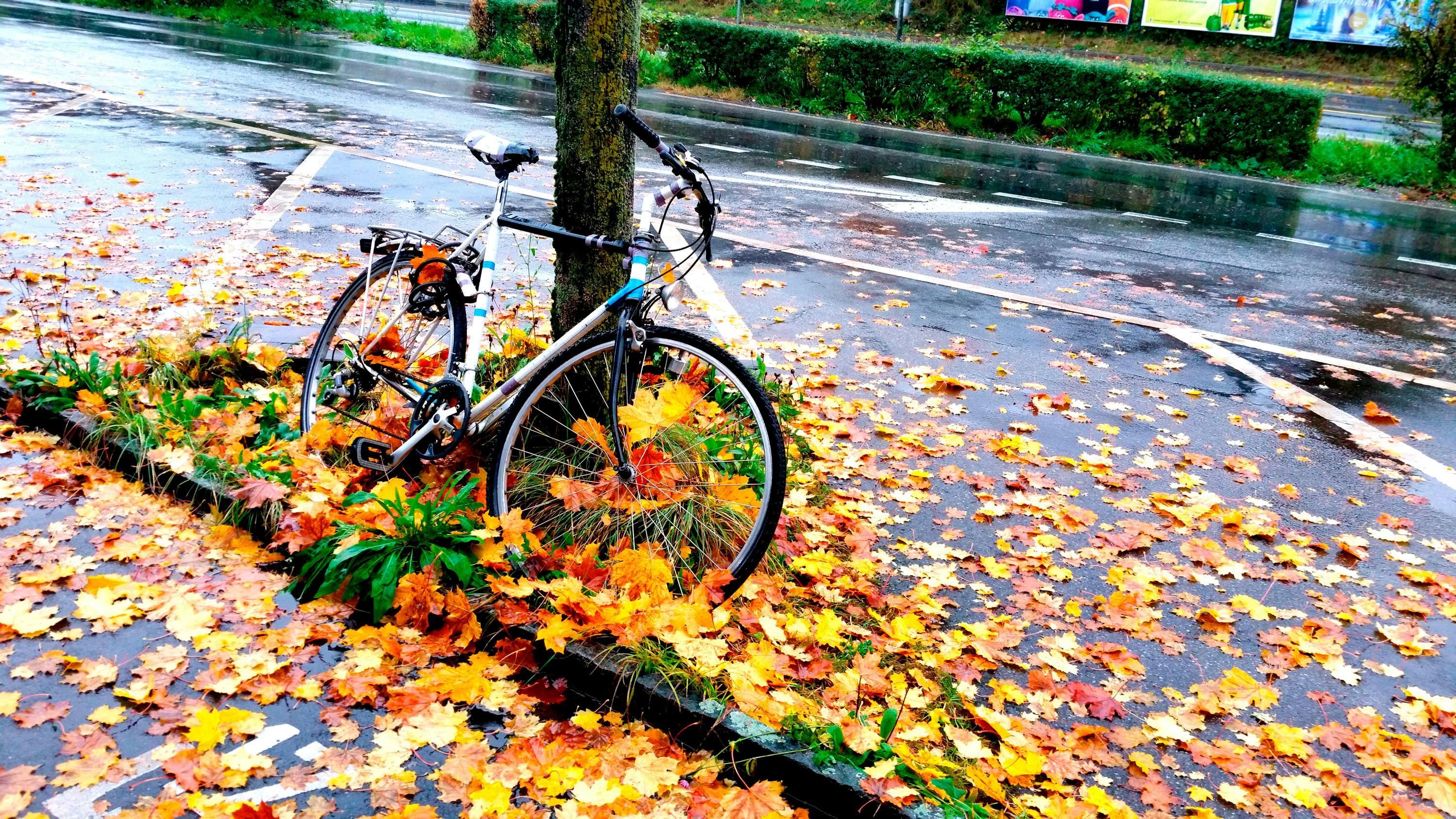 road bike in the rain