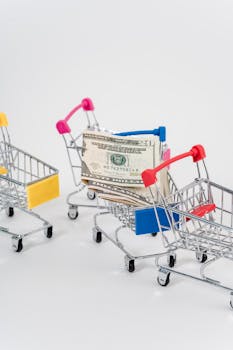 Navigating Inflation: Strategies for Protecting Purchasing Power and Investment Portfolios