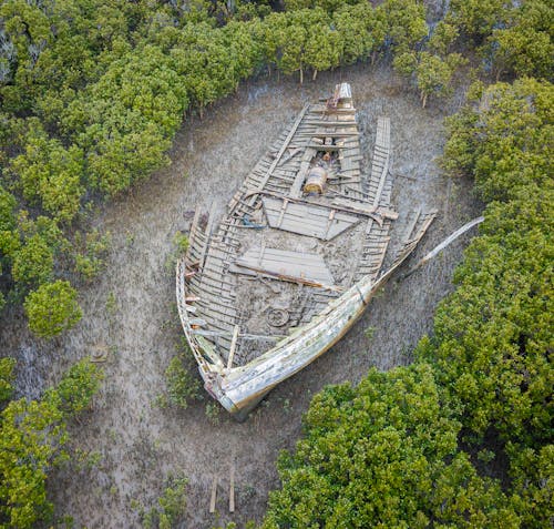 Aerial View of an Old Boat in the Forest
