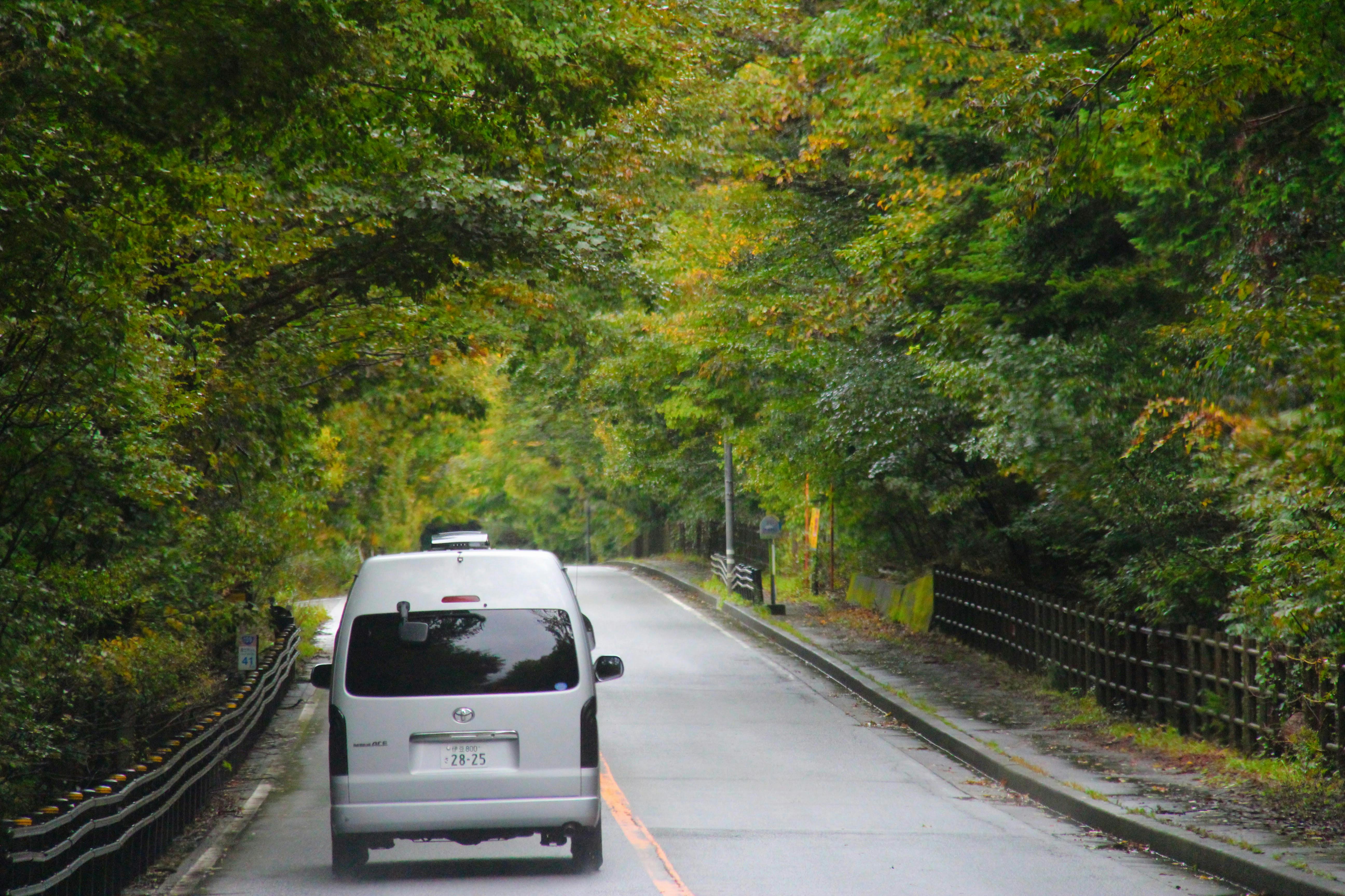 Social commerce live shopping influencer marketing 2025