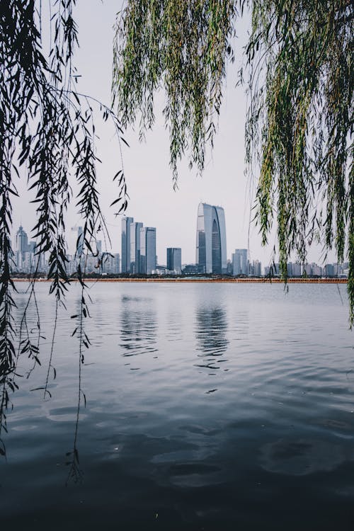 City View Over the Lake