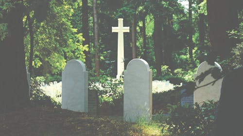 木々に囲まれた十字架近くの白い墓石