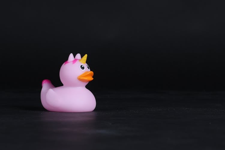 Pink Rubber Duck Toy