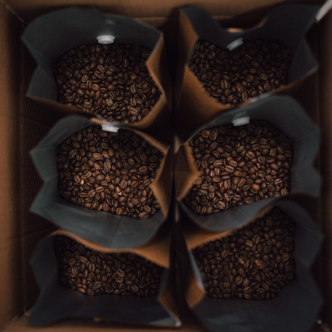 Kraft paper bags of freshly roasted coffee beans, photo by Fatih Arslan on Pexels