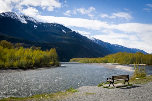 Wooden Bench Near the River
