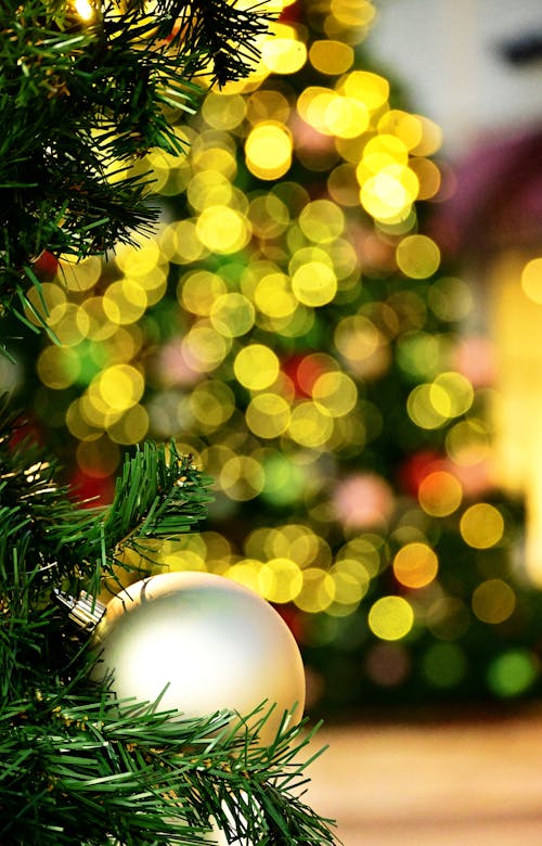 Gratis Fotos de stock gratuitas de adorno de navidad, ambiente navideño, bokeh Foto de stock